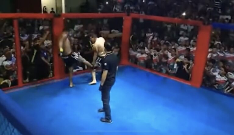 When Brazilian politicians had an MMA fight to settle a dispute