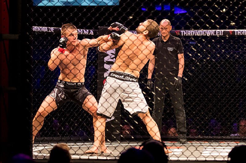 MMA fighter landing a stiff jab