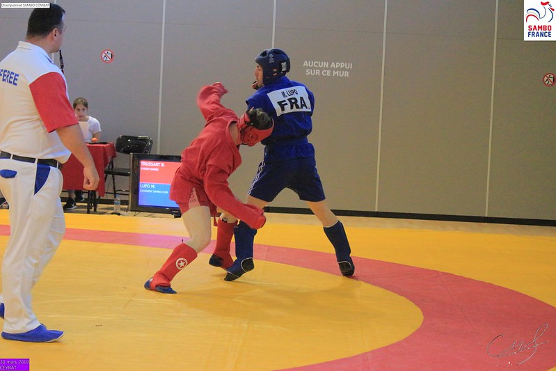 A combat sambo match