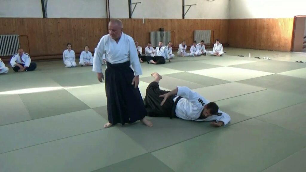 Senior Aikido Master demonstrating techniques
